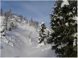 Koča pri Savici - Planina Lopučnica